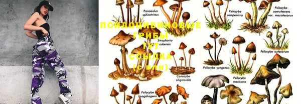 марки lsd Абинск